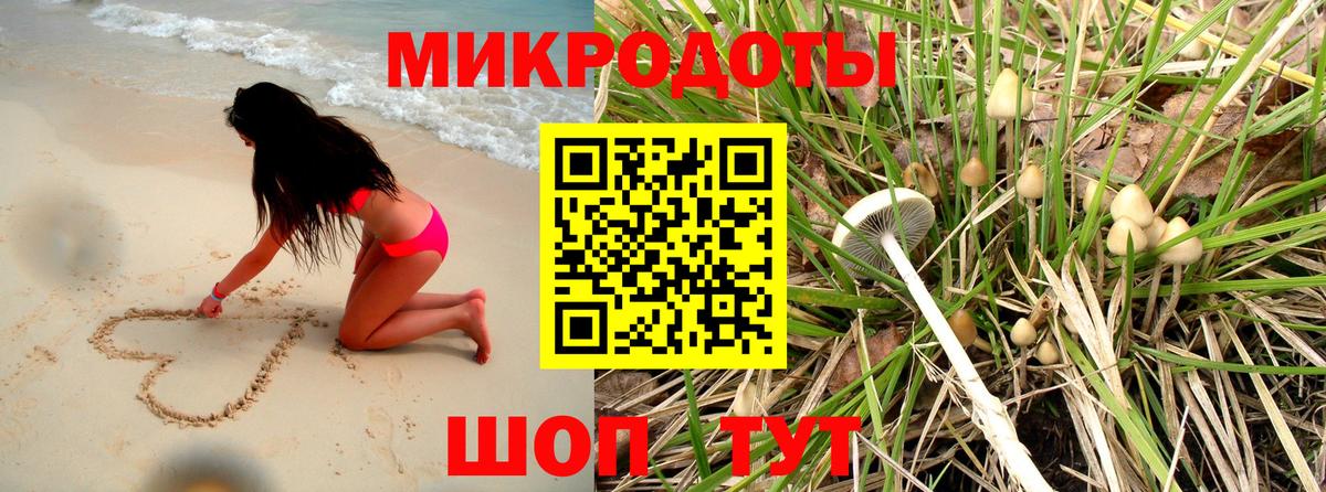 Псилоцибиновые грибы MAGIC MUSHROOMS Вязьма