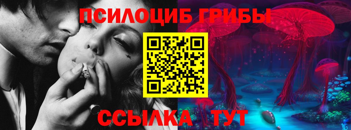 Галлюциногенные грибы Psilocybe  Вход с VPN  Вязьма  Галлюциногенные грибы мухоморы 